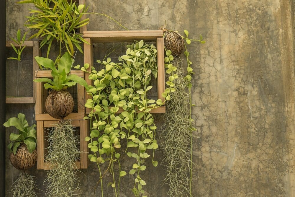 , 6 consejos para decorar tu jard&iacute;n de forma econ&oacute;mica, Grupo Residencial
