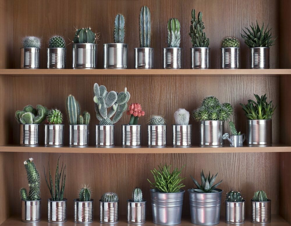 , 6 consejos para decorar tu jard&iacute;n de forma econ&oacute;mica, Grupo Residencial