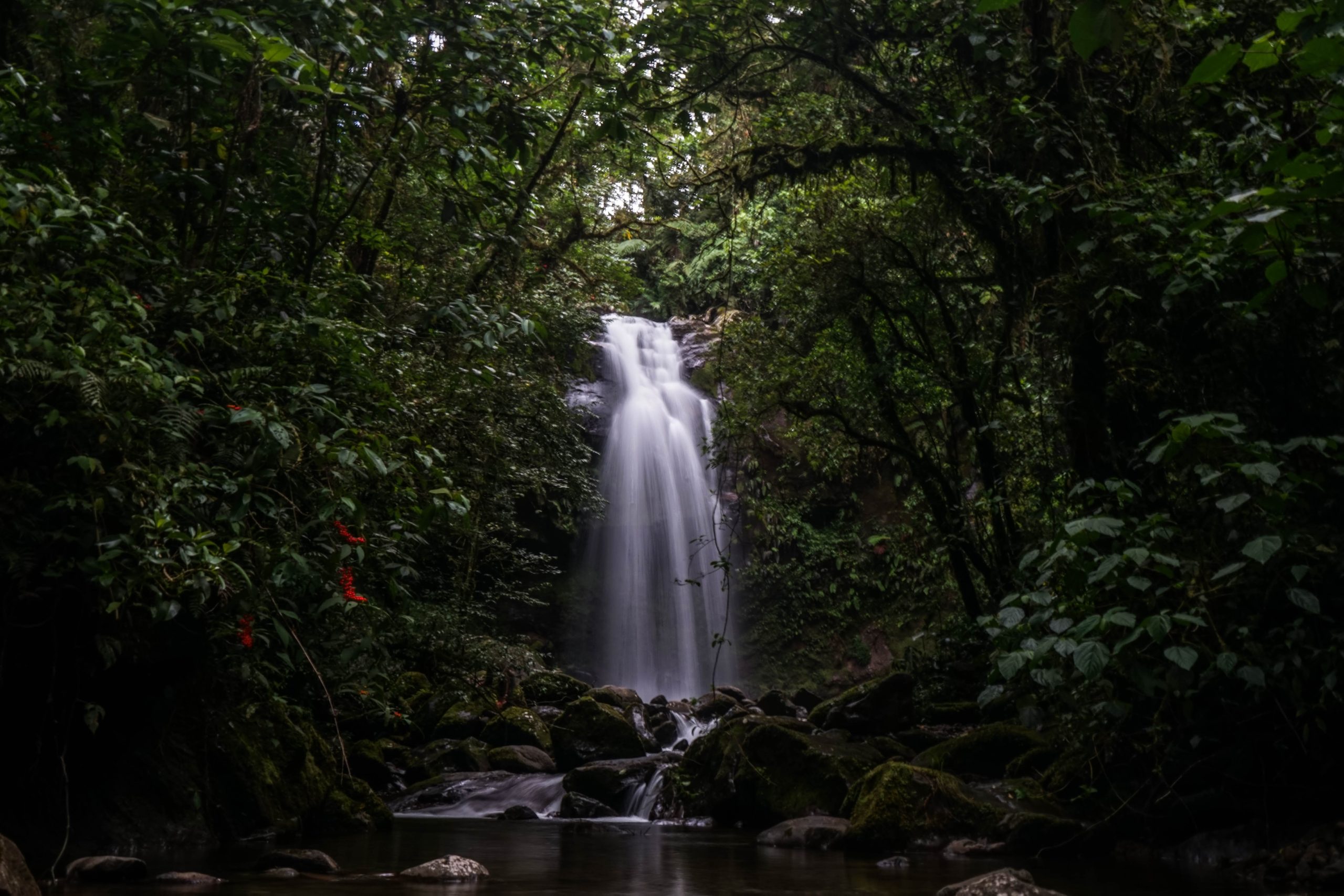 Chorro de aguas cristalinas en medio de la selva virgen que caracteriza los alrededores de Arraij&aacute;n