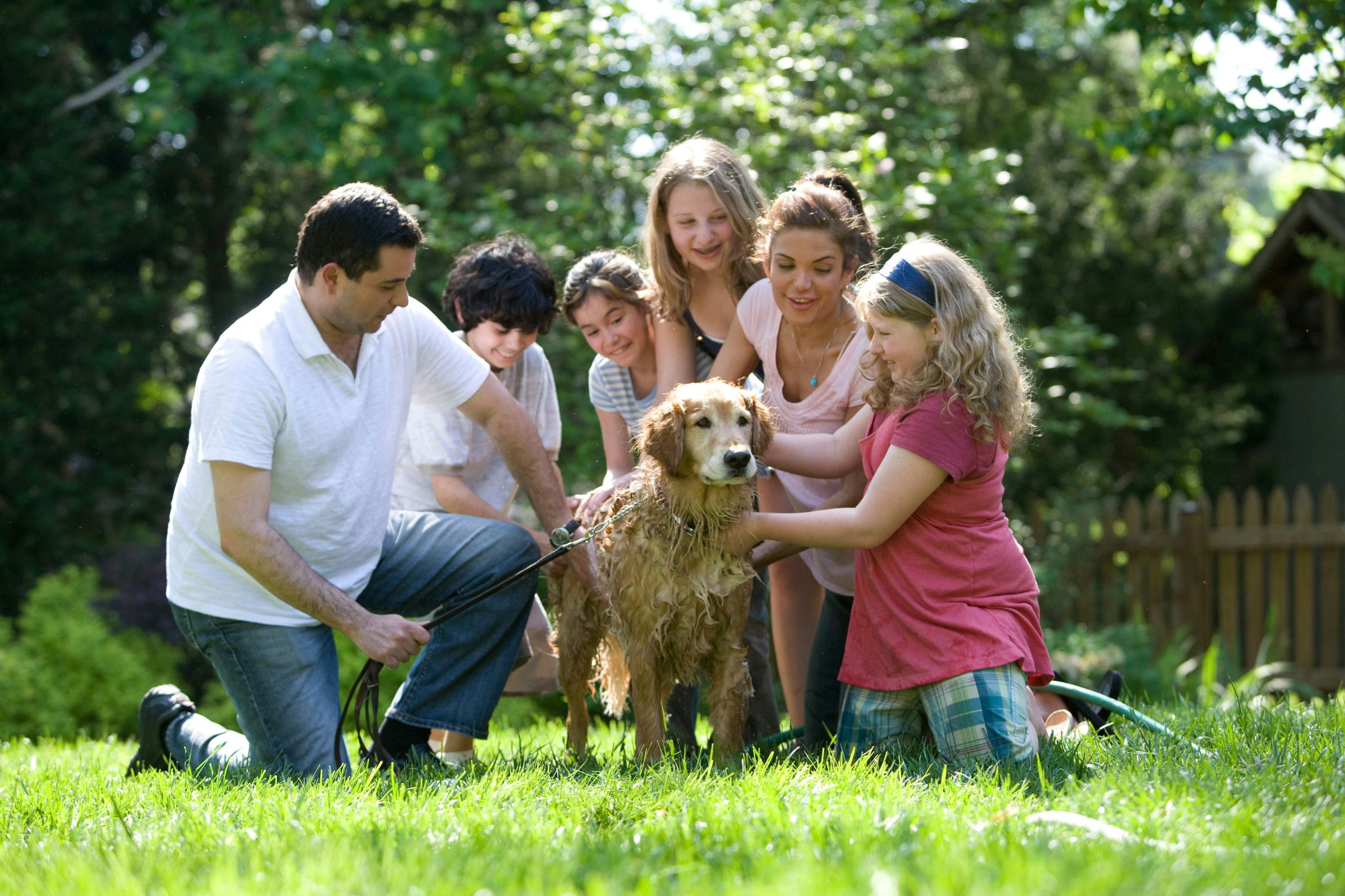Familia ba&ntilde;ando a su perro en el patio en un d&iacute;a soleado.