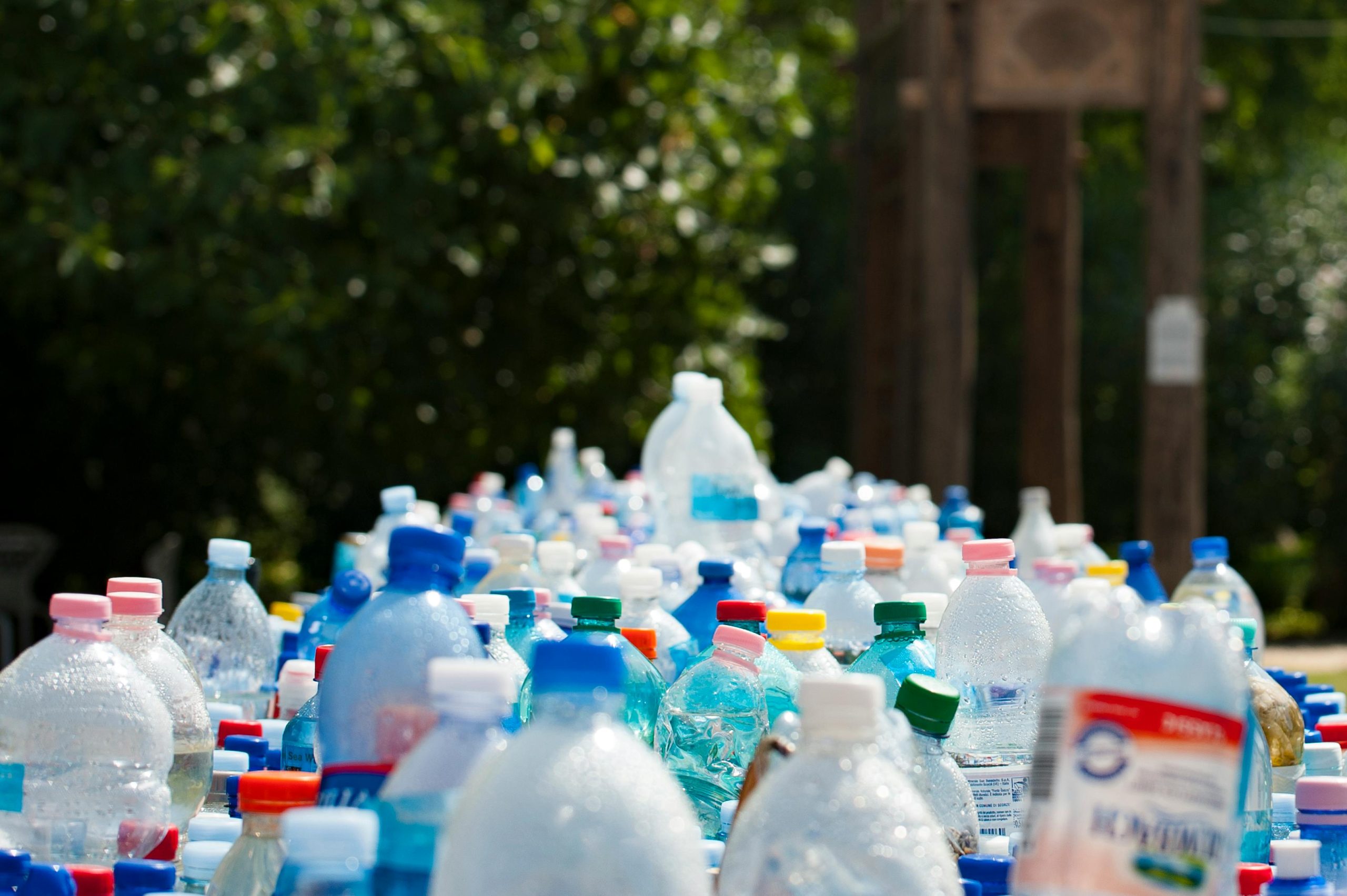 Recolecci&oacute;n de botellas de pl&aacute;stico para reciclaje.