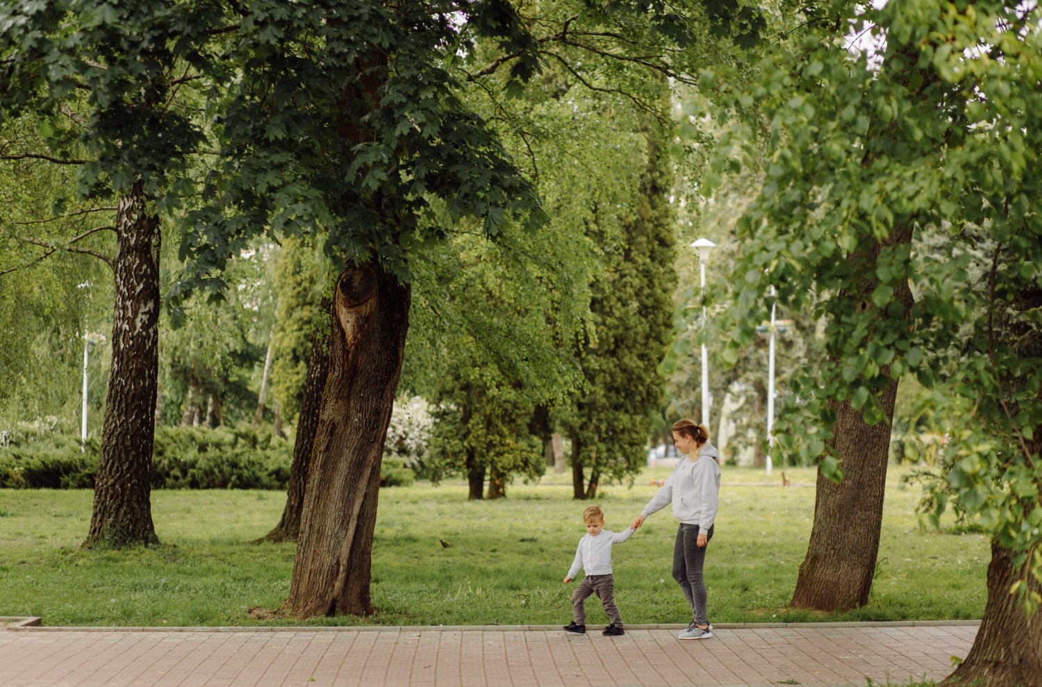 Parque urbano en Panam&aacute; con espacios verdes y personas disfrutando al aire libre 